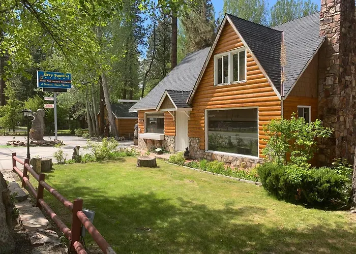 Grey Squirrel Resort
