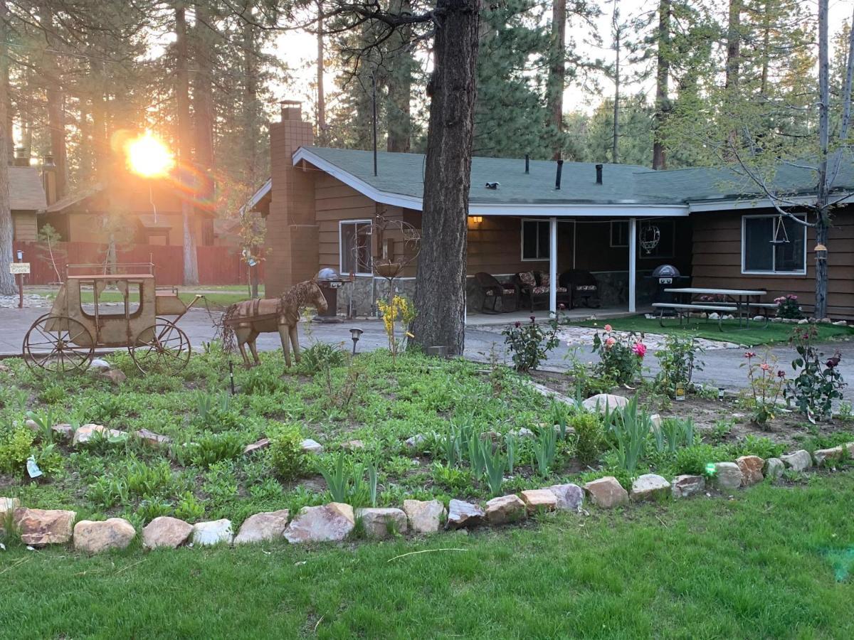 Grey Squirrel Resort