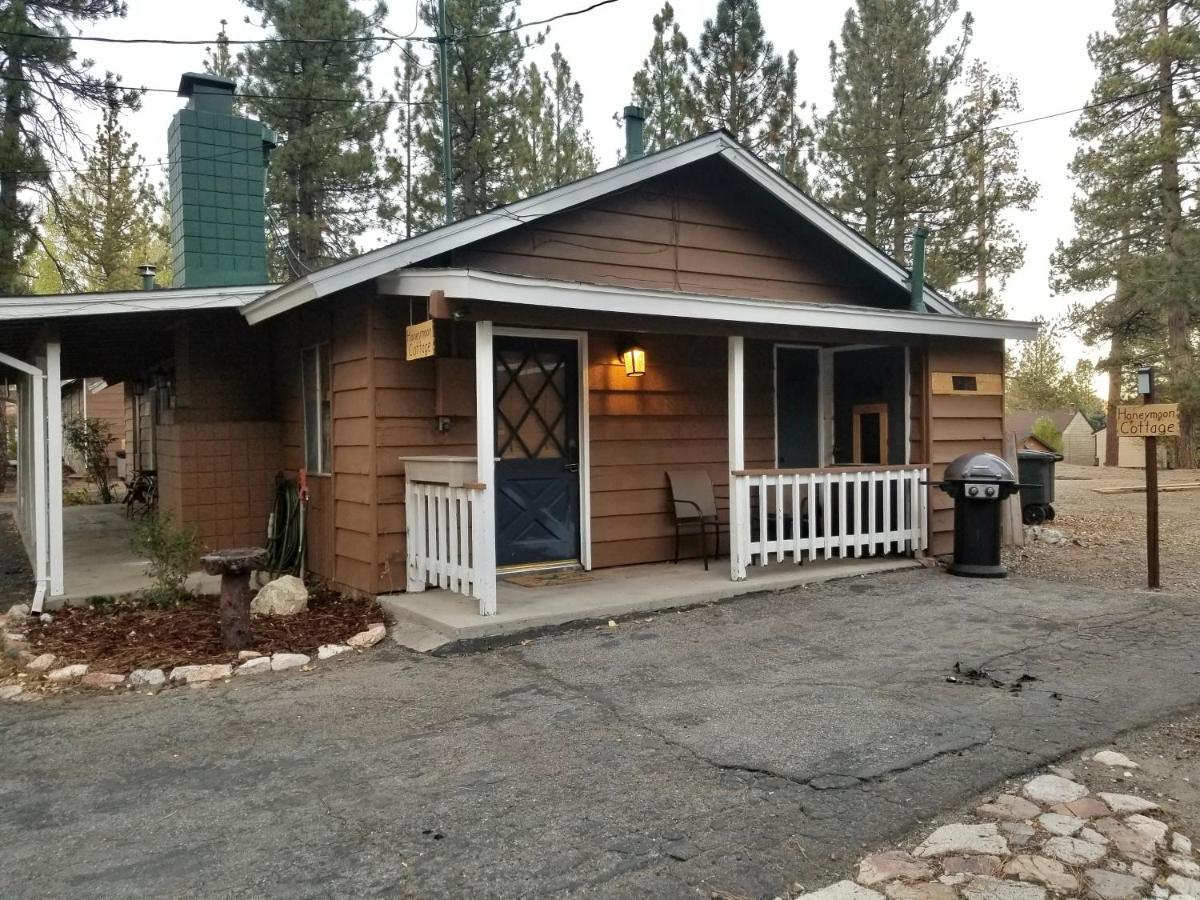 Grey Squirrel Resort