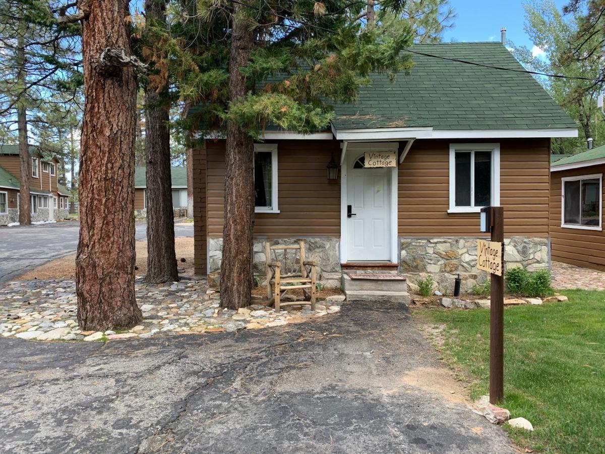Grey Squirrel Resort
