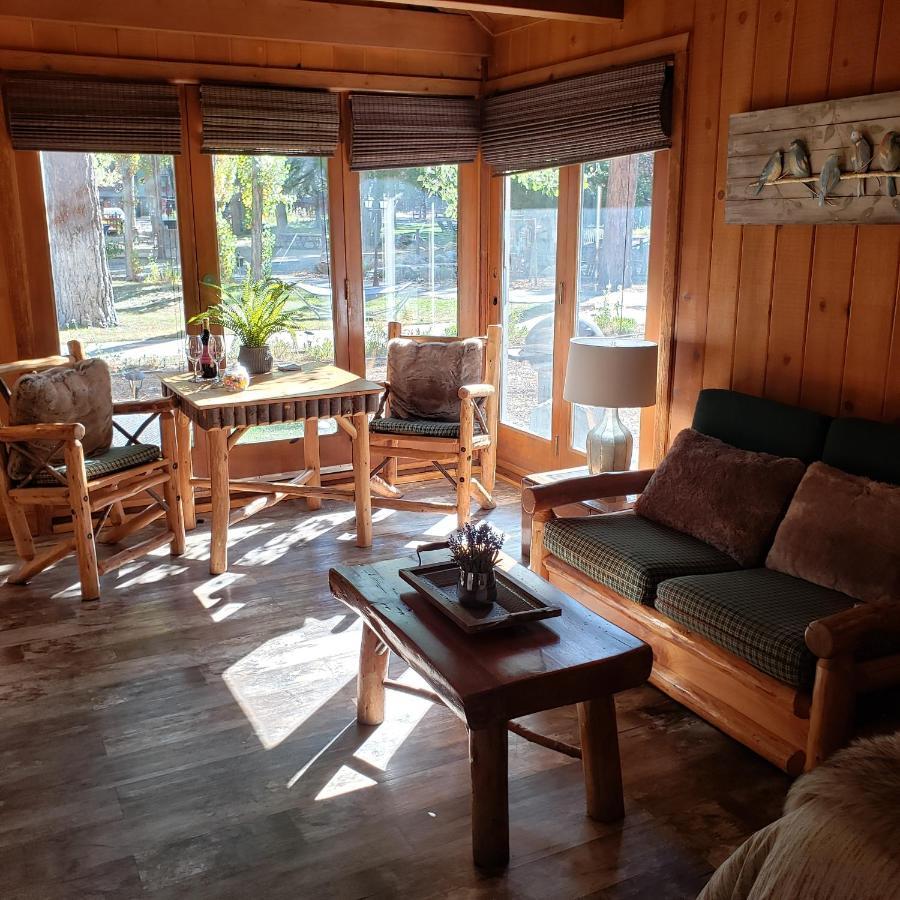 Resort Grey Squirrel Big Bear Lake